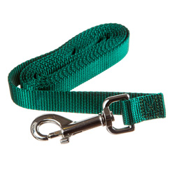 6ft Training Leash   