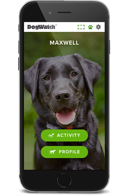 DogWatch of Northeast Iowa, Peosta, Iowa | SmartFence WebApp Image